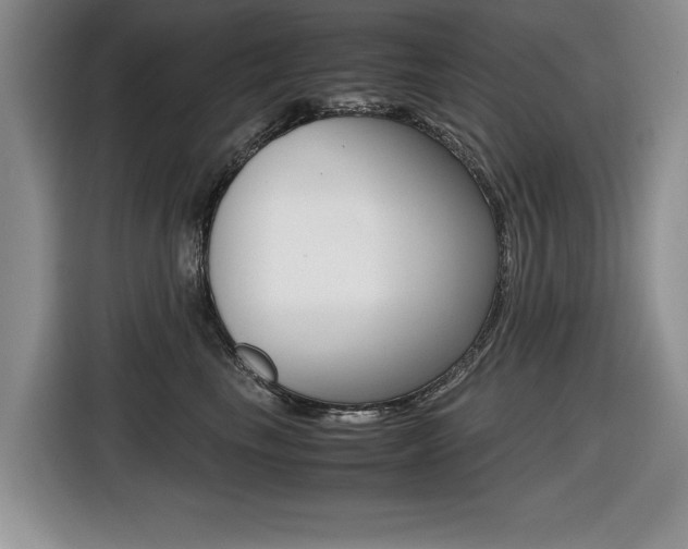 X0000116420665200912081201