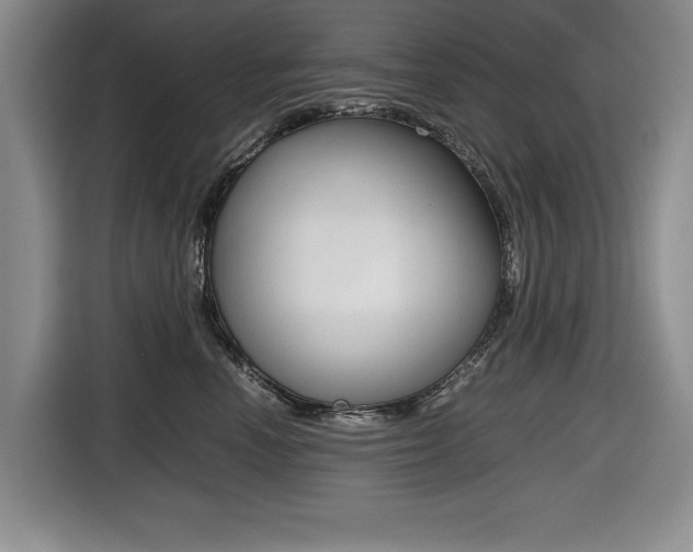 X0000116420666200912081201