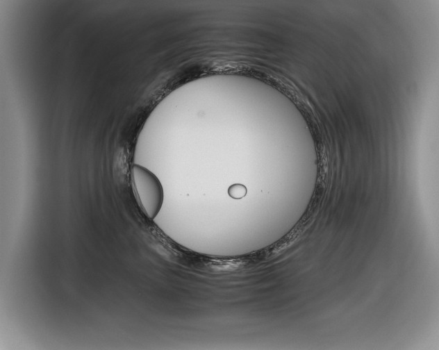 X0000116420667200912081201