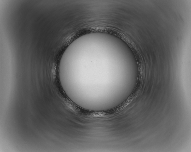 X0000116420668200912081201