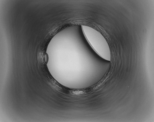 X0000116420669200912081201