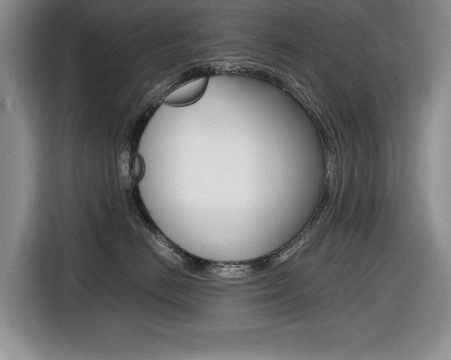 X0000116420670200912081201