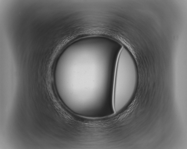 X0000116420673200912081200