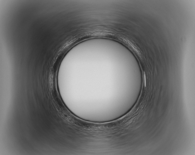 X0000116420675200912081200