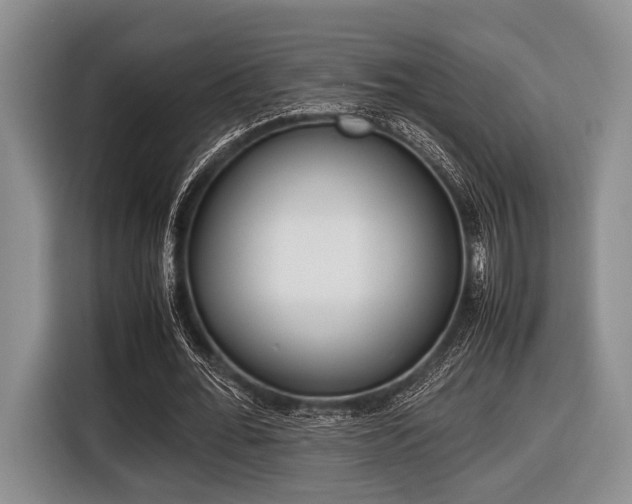 X0000116420676200912081200