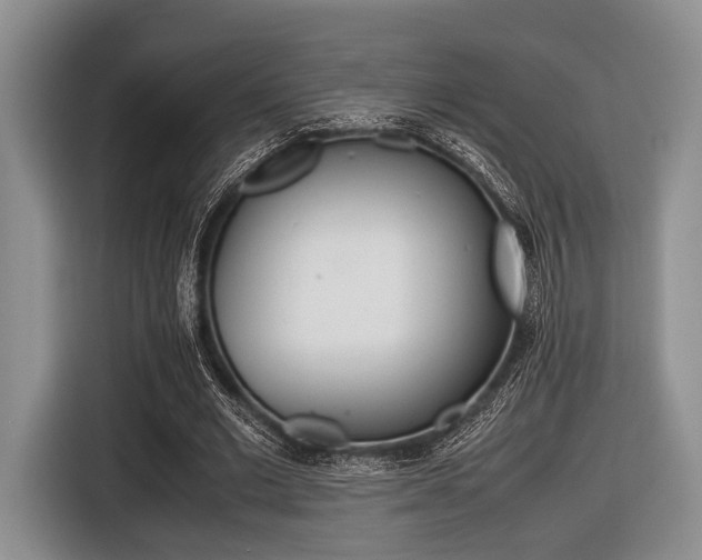 X0000116420677200912081200