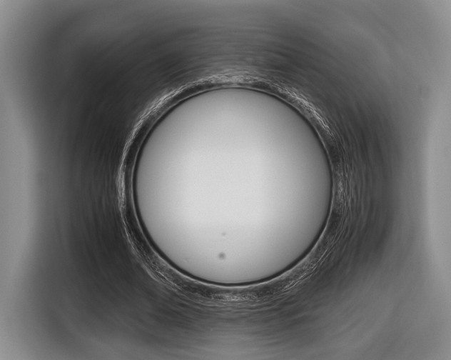 X0000116420678200912081200