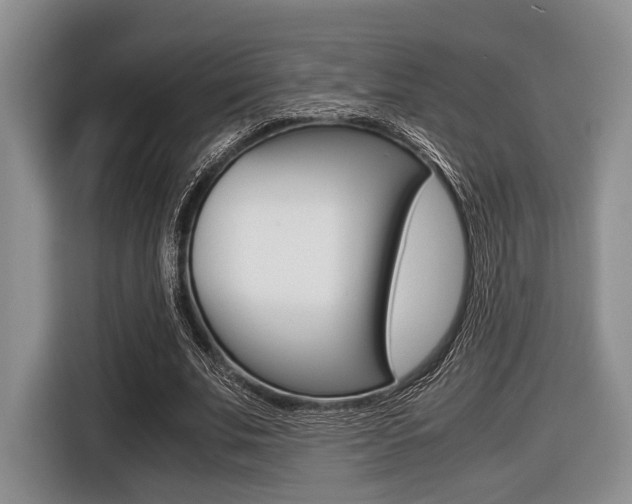 X0000116420679200912081200