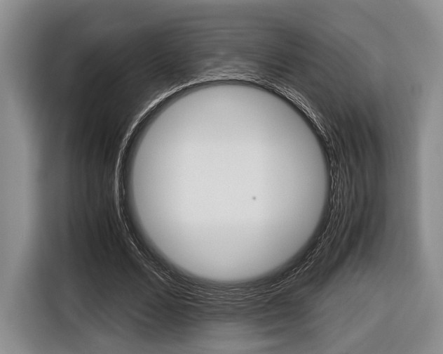 X0000116420680200912081200