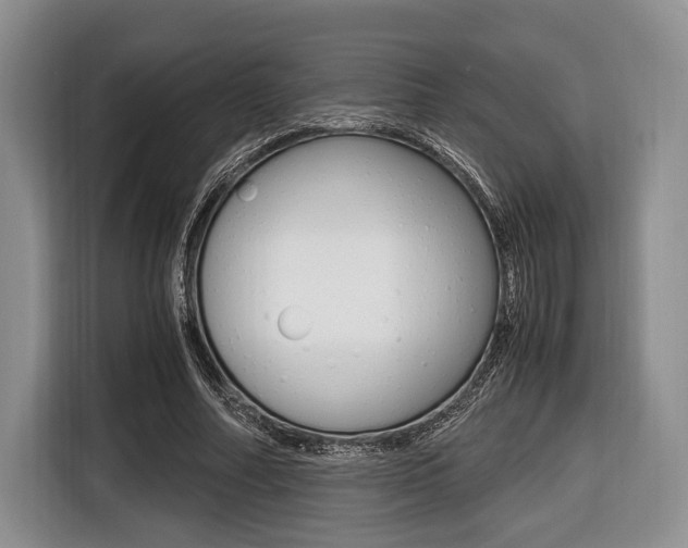 X0000116420682200912081200