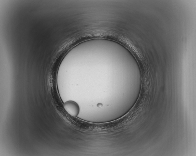 X0000116420683200912081200