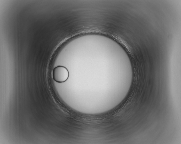 X0000116420684200912081200
