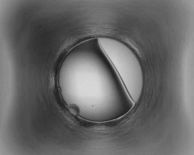 X0000116420685200912081200