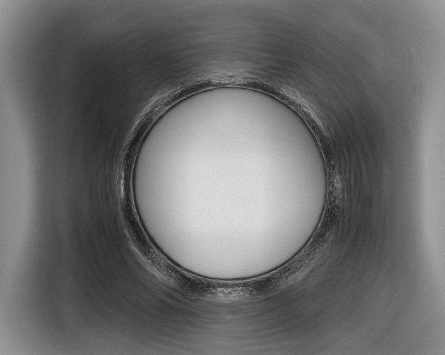 X0000116420686200912081200