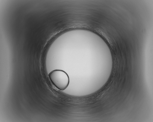 X0000116420688200912081200