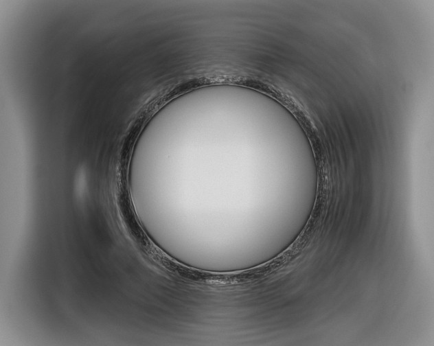 X0000116420690200912081200