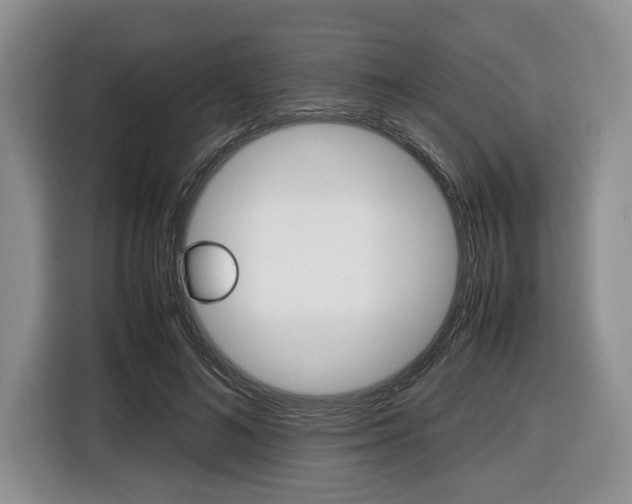 X0000116420692200912081200