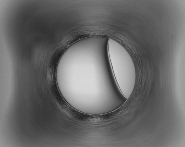 X0000116420695200912081200