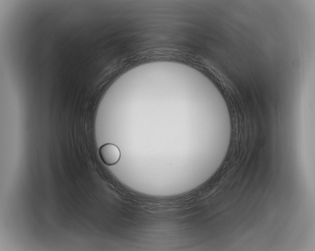X0000116420696200912081200