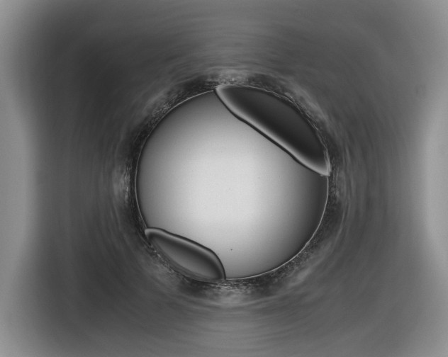X0000116420697200912081200