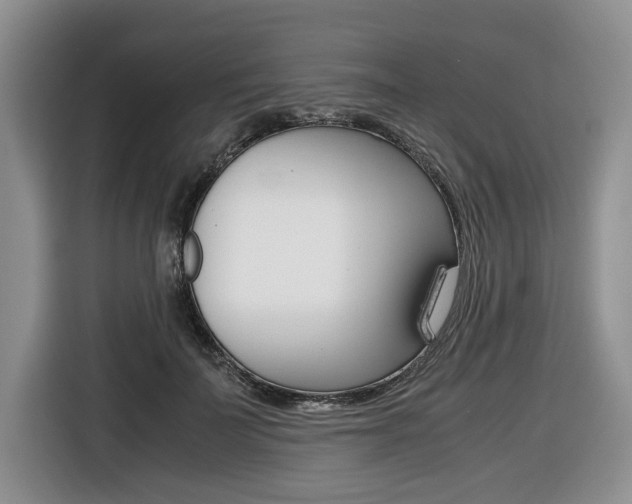 X0000116420699200912081200