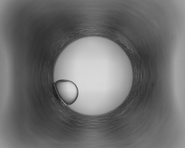 X0000116420700200912081200