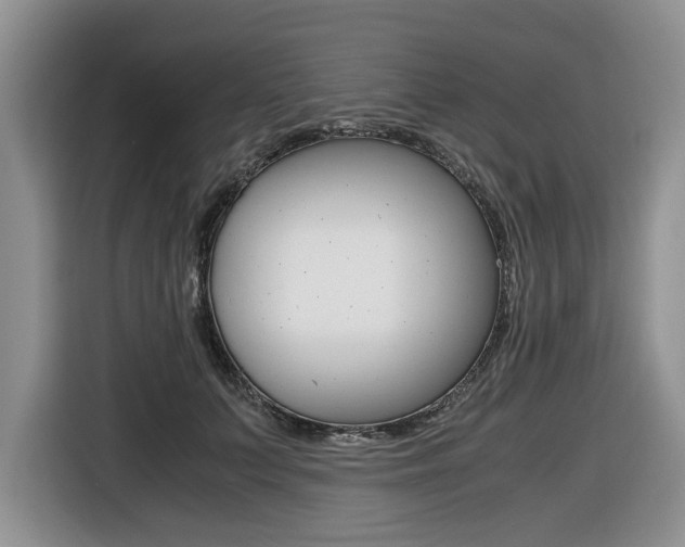 X0000116420703200912081200