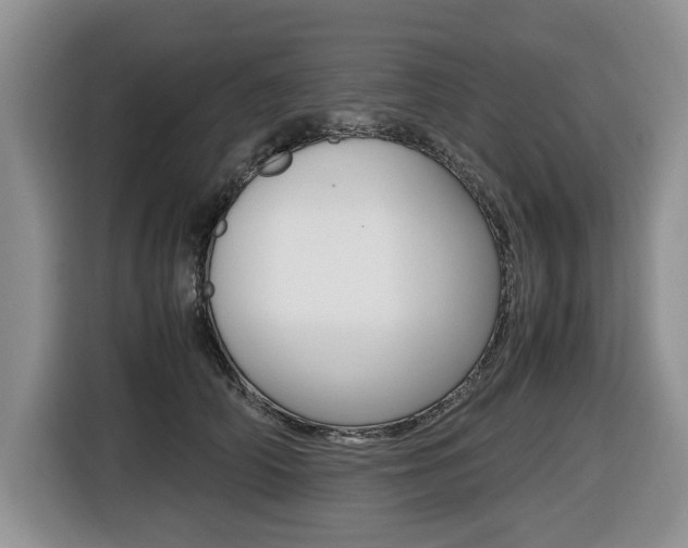X0000116420706200912081200