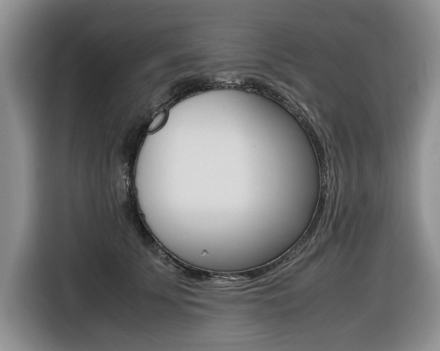 X0000116420707200912081200