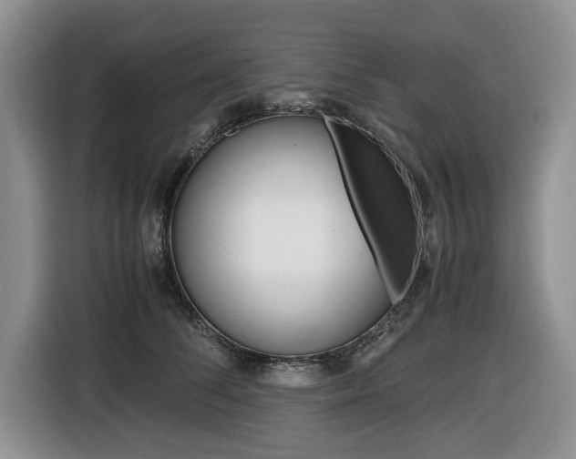 X0000116420708200912081200