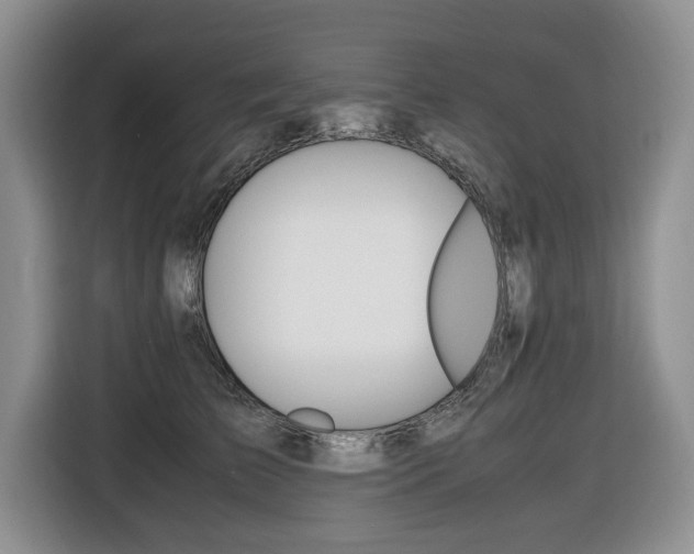 X0000116420709200912081200