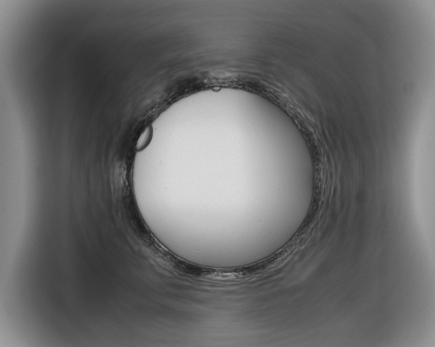 X0000116420711200912081200