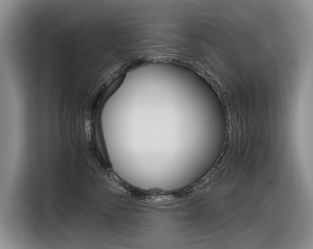 X0000116420716200912081200