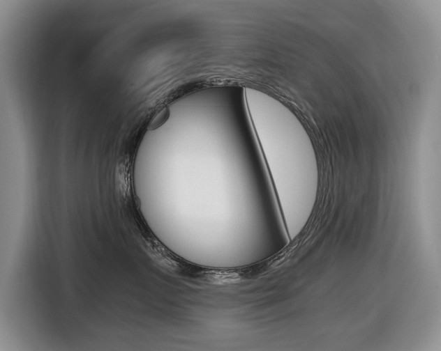 X0000116420719200912081159