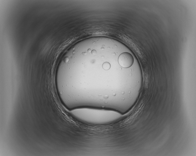 X0000116420721200912081159