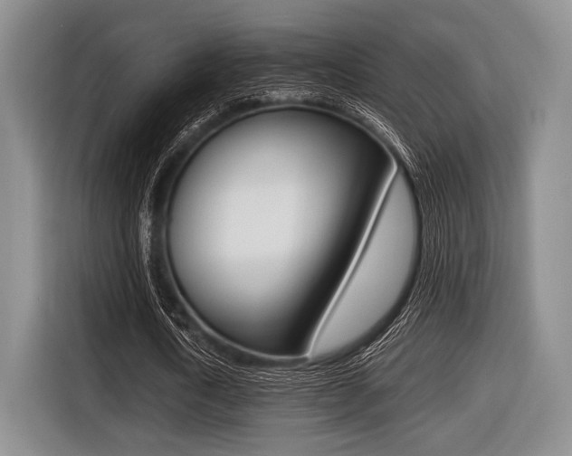 X0000116420722200912081159