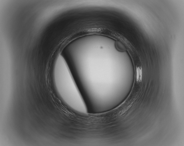 X0000116420723200912081159
