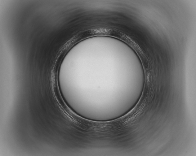 X0000116420725200912081159
