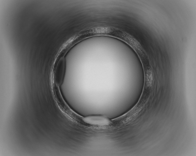 X0000116420726200912081159