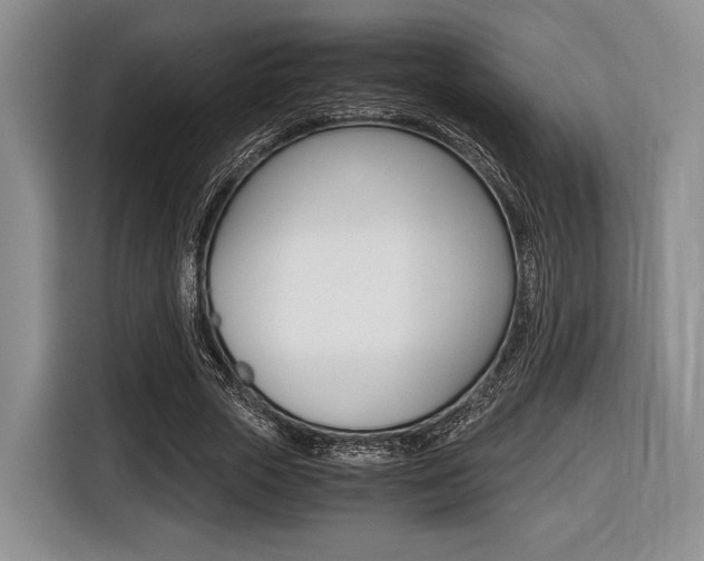 X0000116420729200912081159
