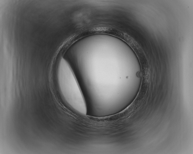 X0000116420731200912081159