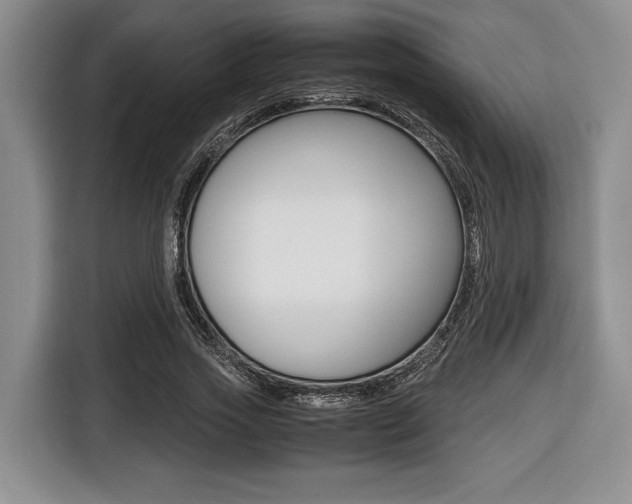 X0000116420733200912081159