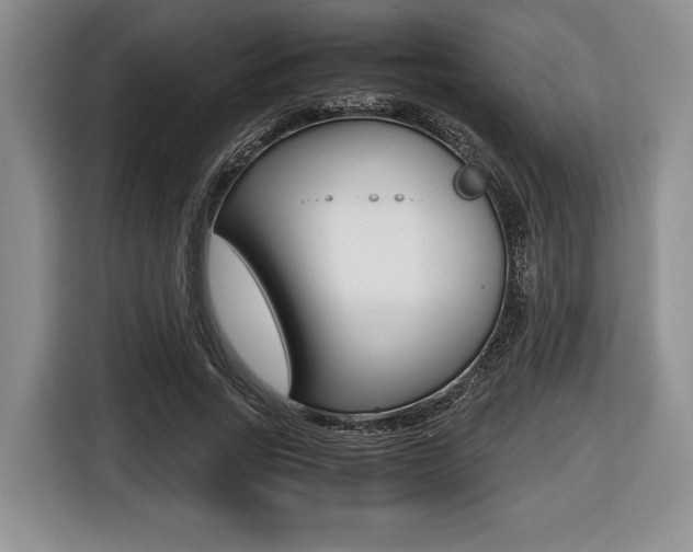 X0000116420735200912081159