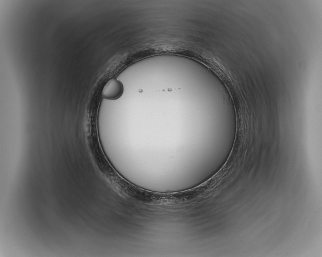 X0000116420738200912081159