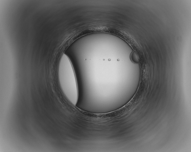 X0000116420739200912081159