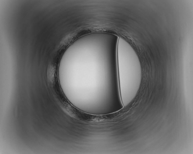 X0000116420742200912081159