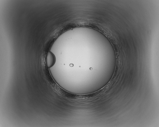 X0000116420746200912081159