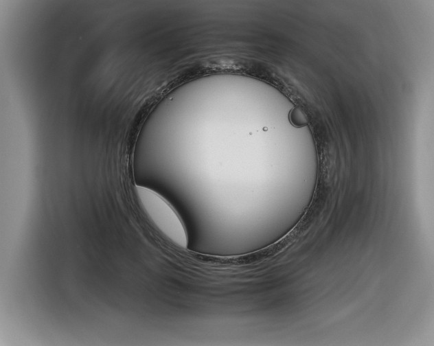 X0000116420747200912081159