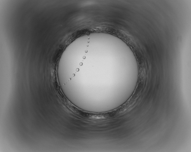 X0000116420749200912081159