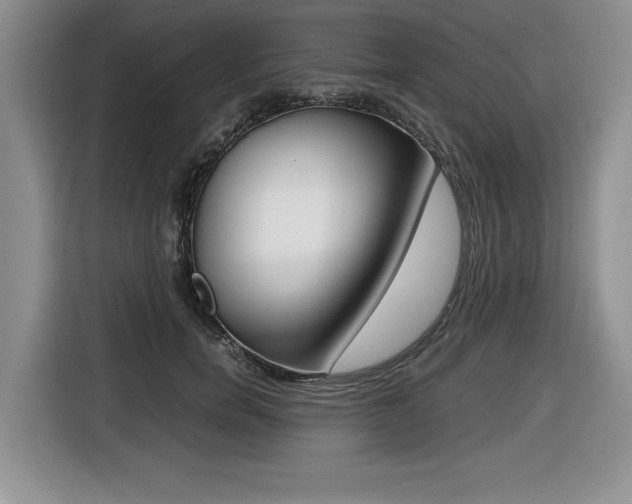 X0000116420750200912081159